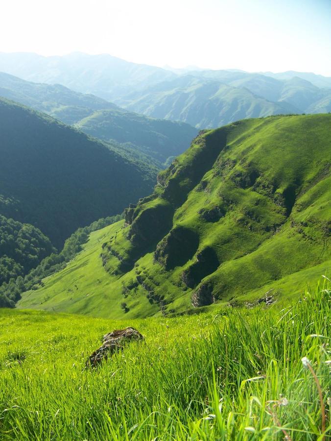 Tente Safari Lodge Ferme Carrique Tardets-Sorholus Dış mekan fotoğraf